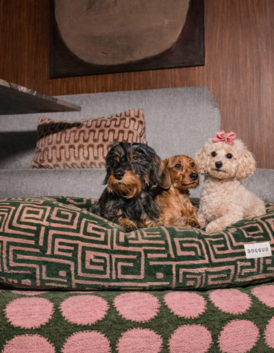 Dogi: BOUTIQUE HOTEL VOOR HONDEN